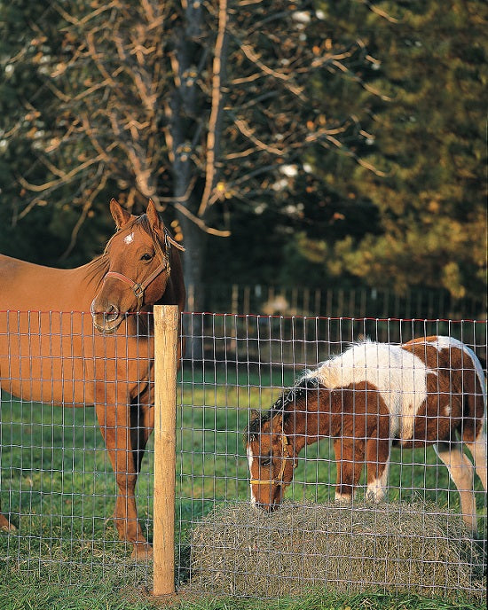 Red brand deals fence