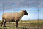 RedBrand Sheep & Goat Fence