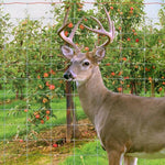 RedBrand - Deer & Orchard Fence