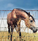 Redbrand - V-mesh Horse Fence