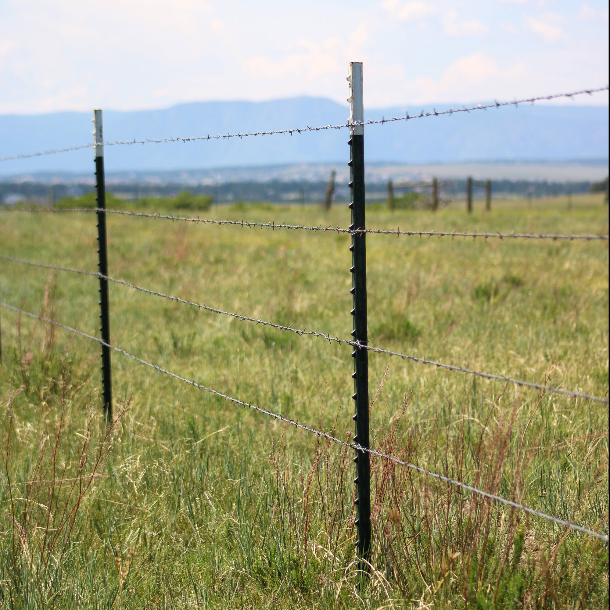 T-Posts - 1.25 – hutchison-inc.com