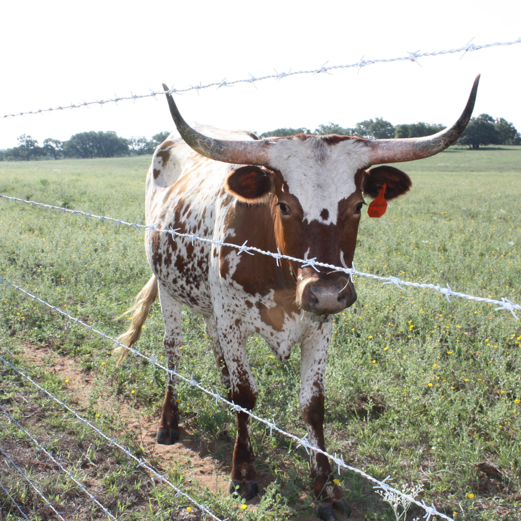 Bekaert Cattleman Pro Barbed Wire - 14 GA – hutchison-inc.com