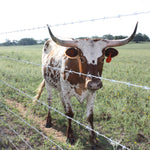 Bekaert Cattleman Pro Barbed Wire - 14 GA