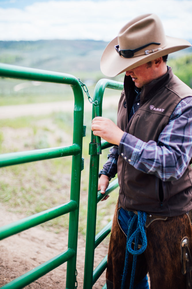 WP660 Western Horse Corral Panel