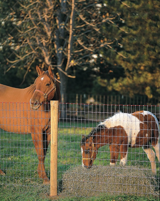 RedBrand - Non-Climb Horse Fence