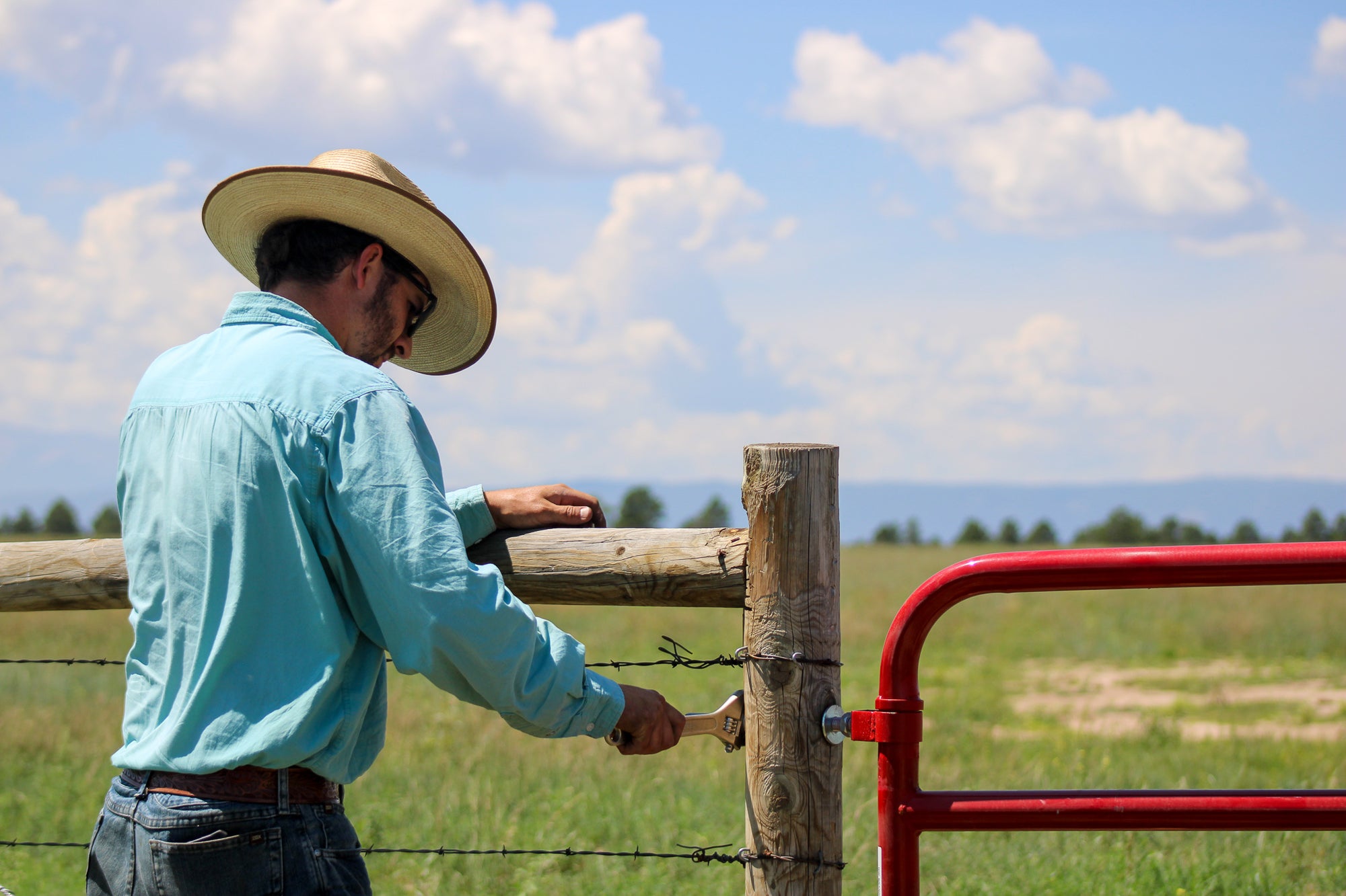 CG650 6 Rail Livestock Gate – hutchison-inc.com