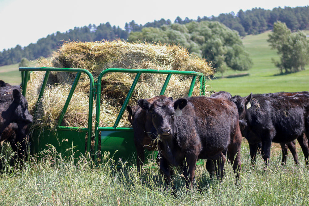 WBF 8' Western Flex Bale Feeder