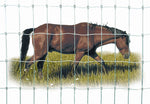 RedBrand - Non-Climb Horse Fence