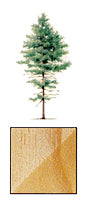 MCA Treated Dimensional Lumber